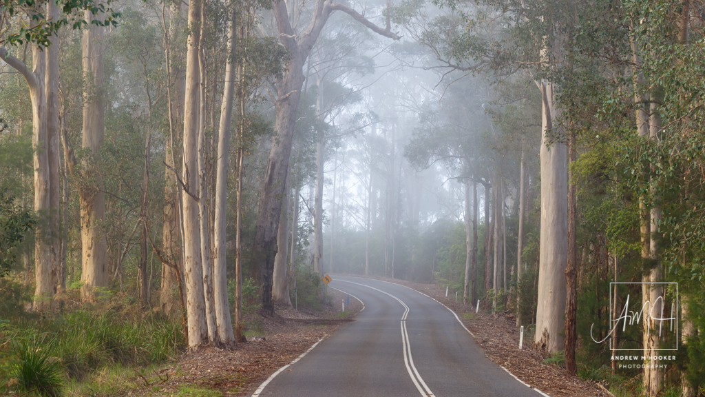 Foggy Scotsdale Rd